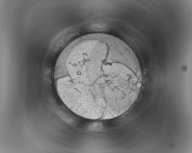 X0000114690162200911121526