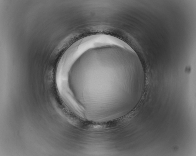 X0000114690163200911121526