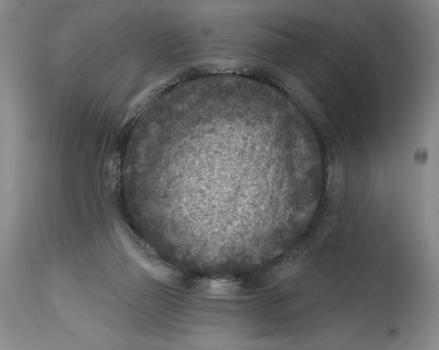 X0000114690165200911121526