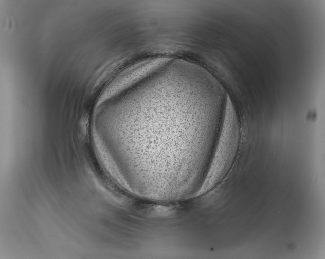 X0000114690166200911121526