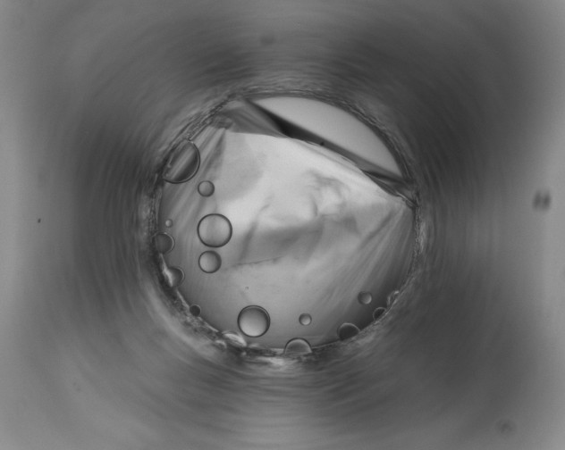 X0000114690167200911121526