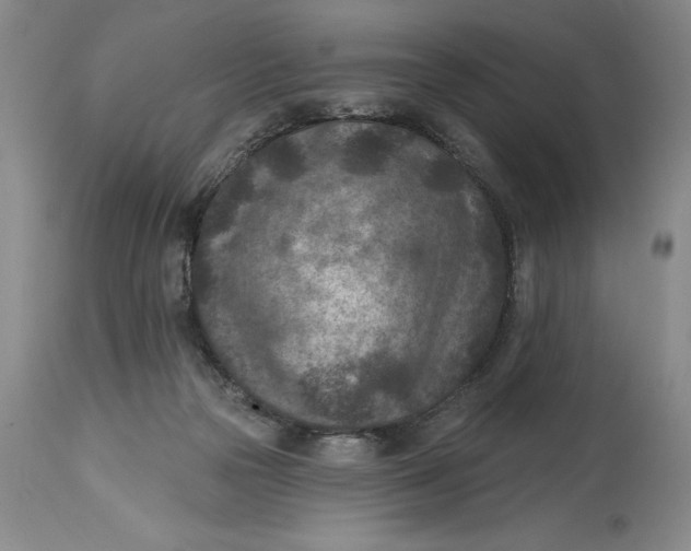 X0000114690169200911121526