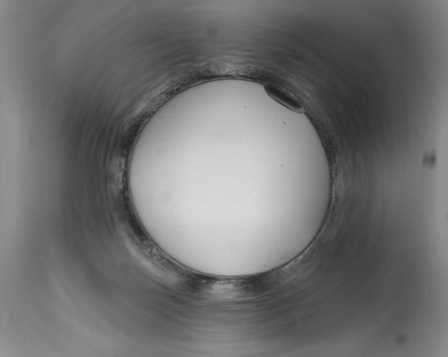 X0000114690171200911121526