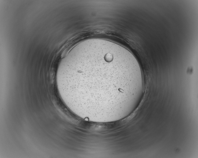 X0000114690174200911121526