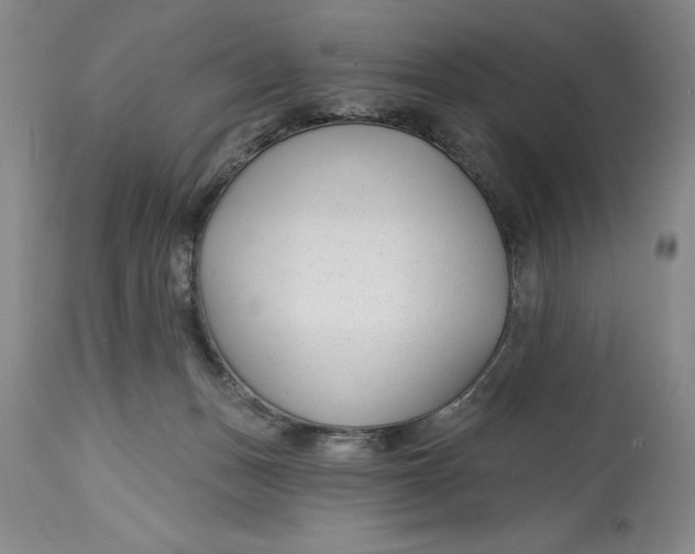 X0000114690175200911121526