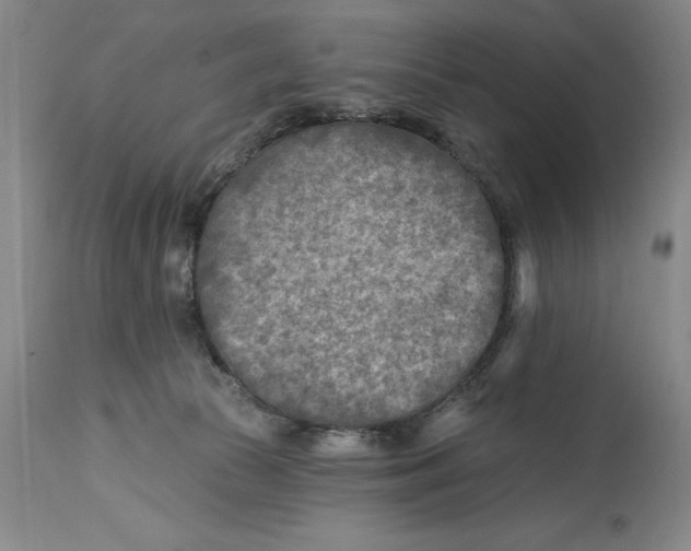 X0000114690177200911121526