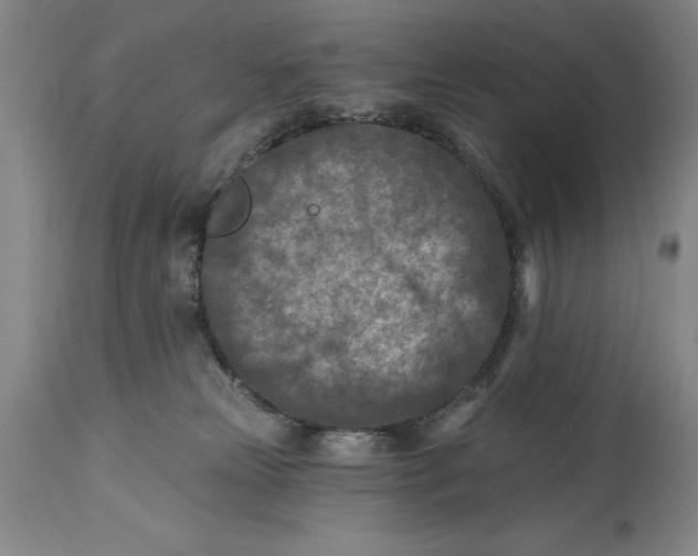 X0000114690181200911121526