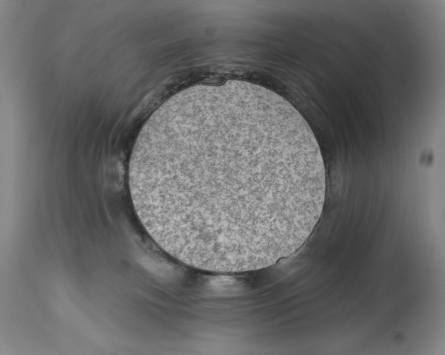 X0000114690183200911121526