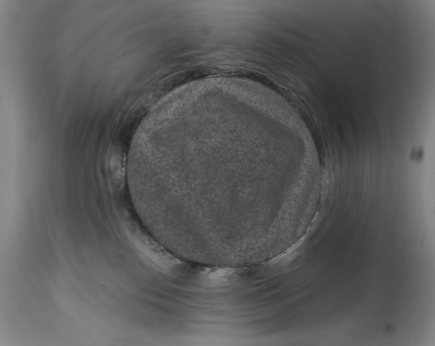 X0000114690186200911121526