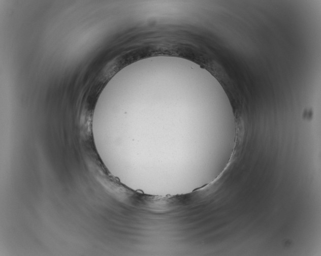 X0000114690191200911121526