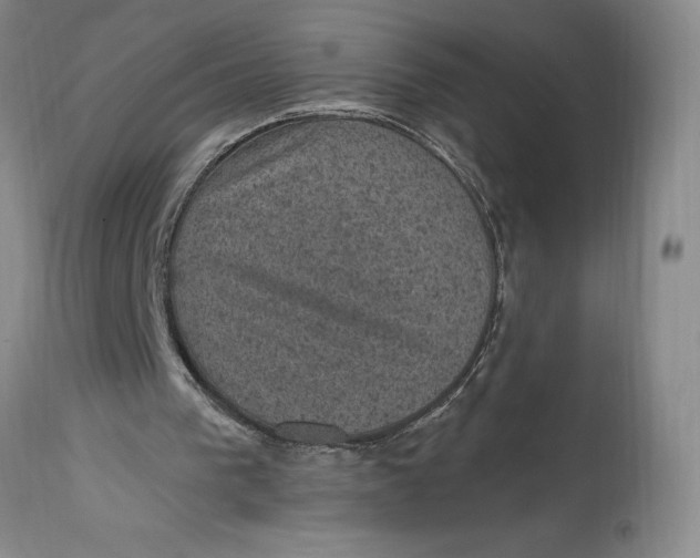 X0000114690193200911121525