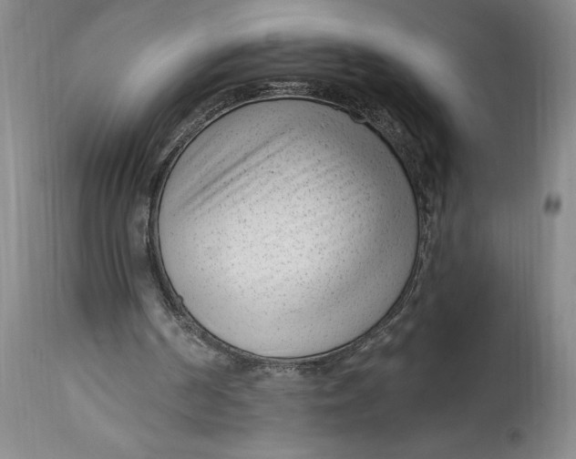 X0000114690194200911121525