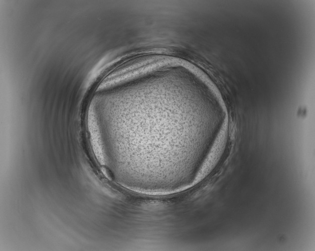 X0000114690198200911121525