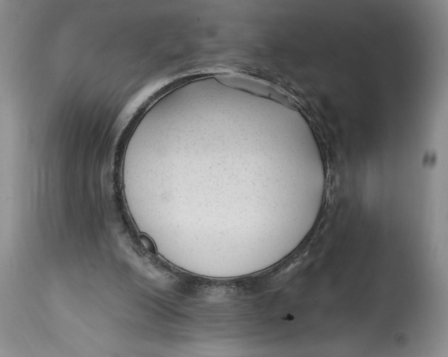 X0000114690200200911121525