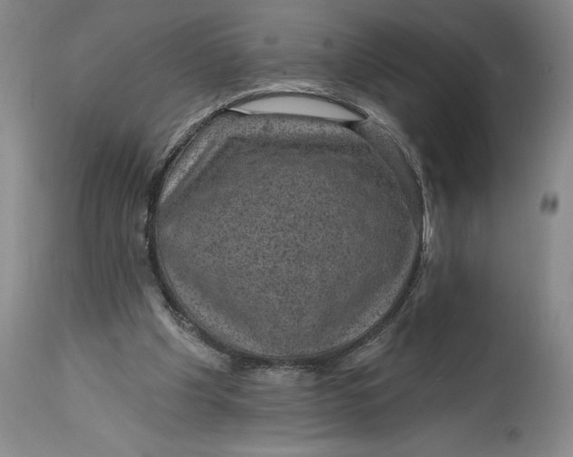 X0000114690201200911121525