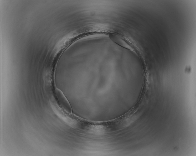 X0000114690203200911121525