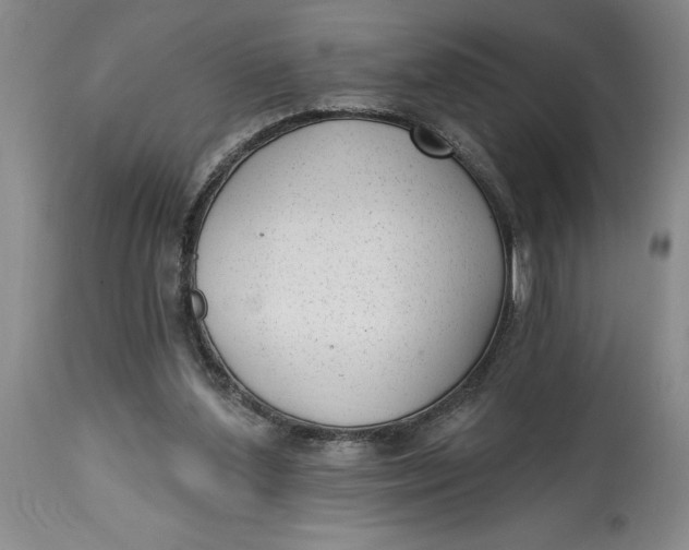 X0000114690204200911121525