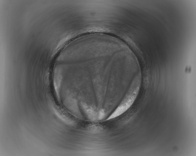 X0000114690207200911121525