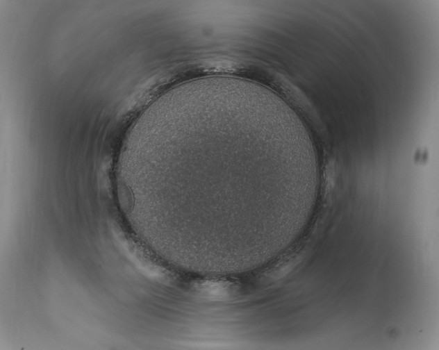 X0000114690209200911121525