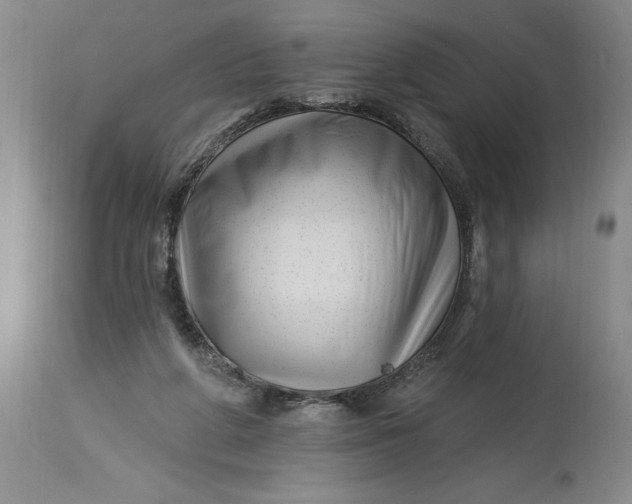 X0000114690210200911121525