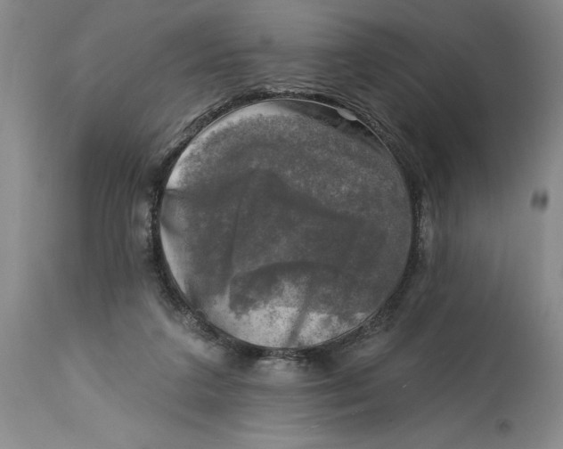 X0000114690211200911121525