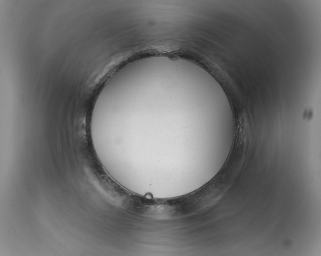 X0000114690212200911121525