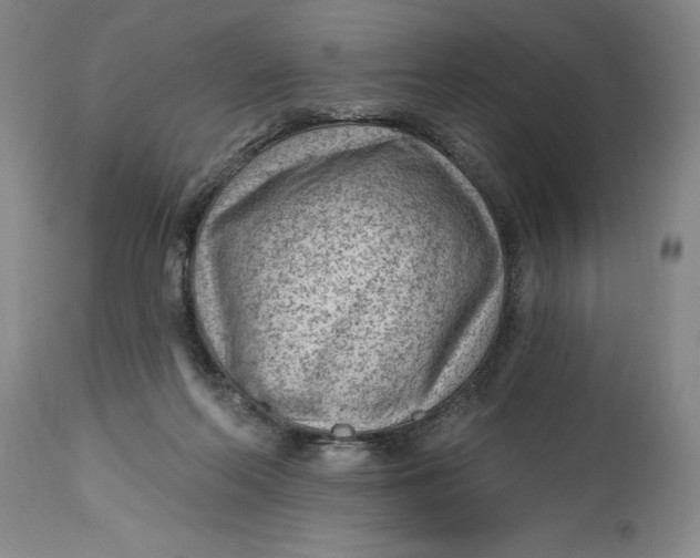 X0000114690214200911121525