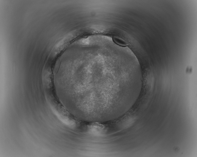 X0000114690215200911121525