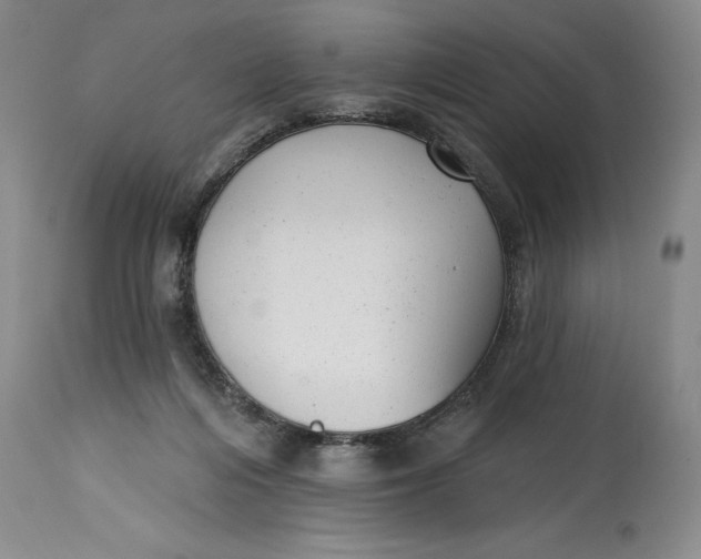 X0000114690216200911121525