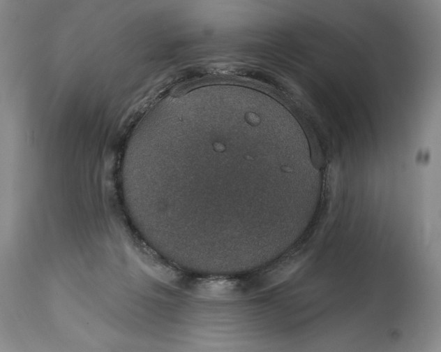 X0000114690217200911121525