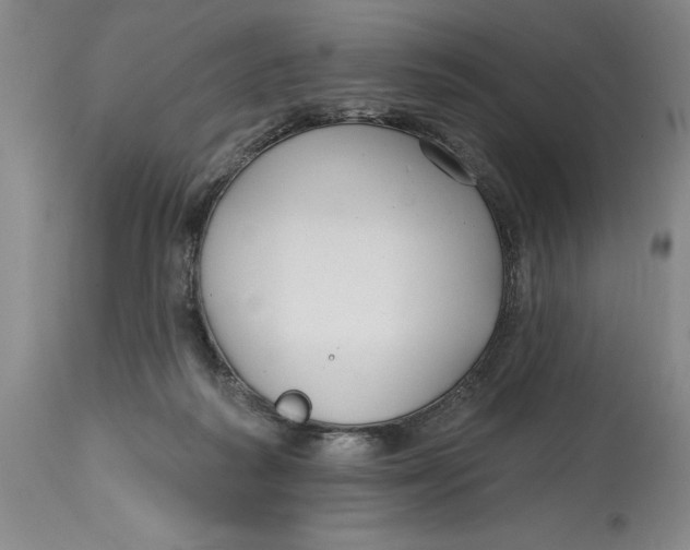 X0000114690218200911121525