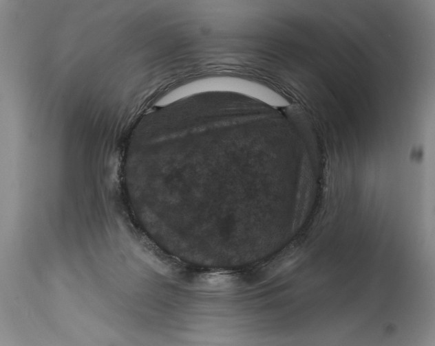 X0000114690219200911121525