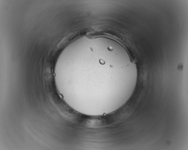 X0000114690220200911121525