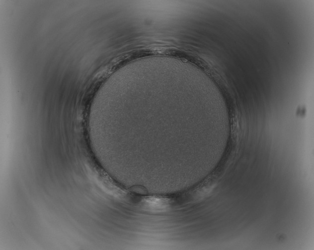 X0000114690221200911121525