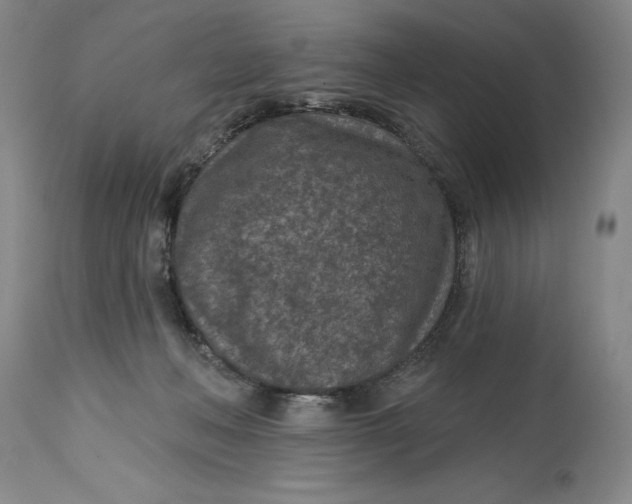 X0000114690222200911121525