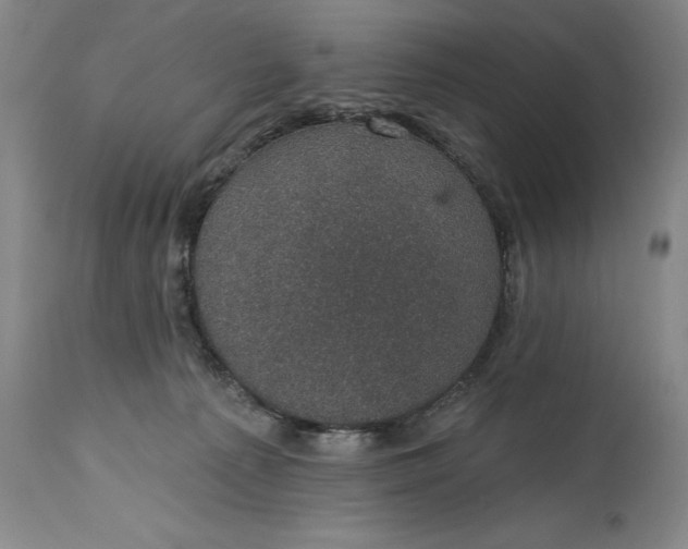 X0000114690225200911121525