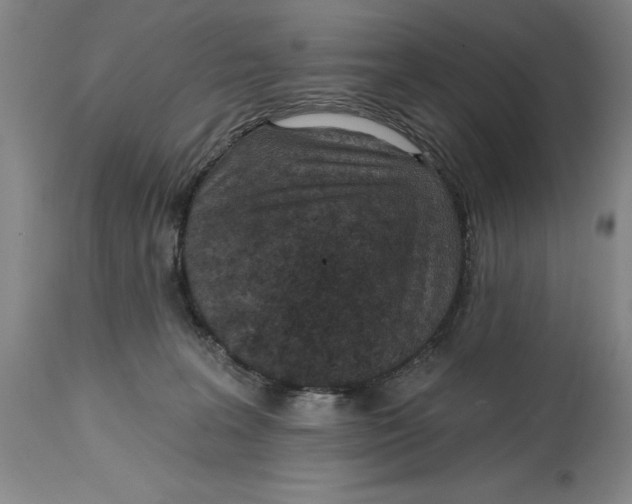 X0000114690227200911121525