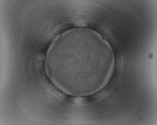 X0000114690229200911121525