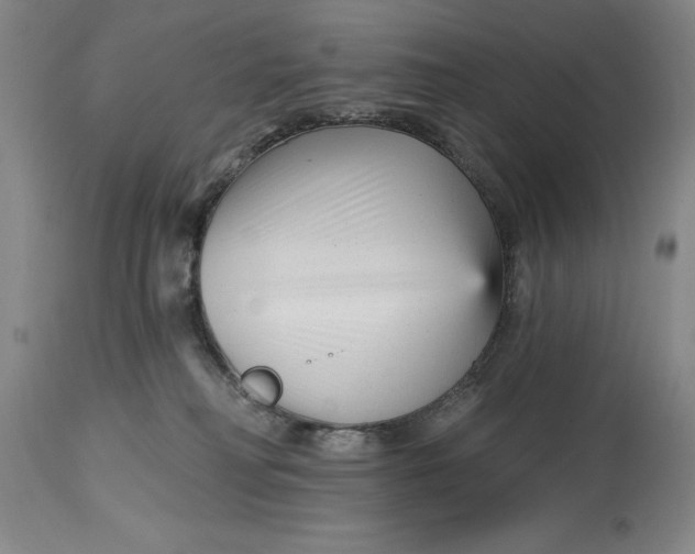 X0000114690230200911121525