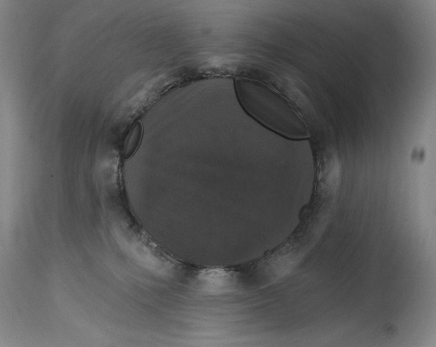 X0000114690231200911121525