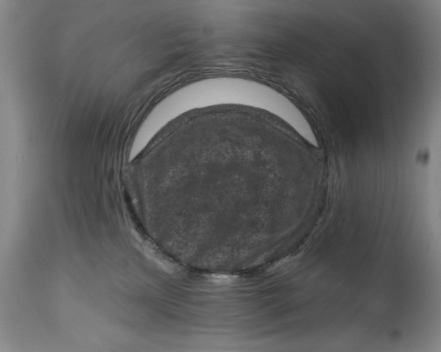 X0000114690233200911121525