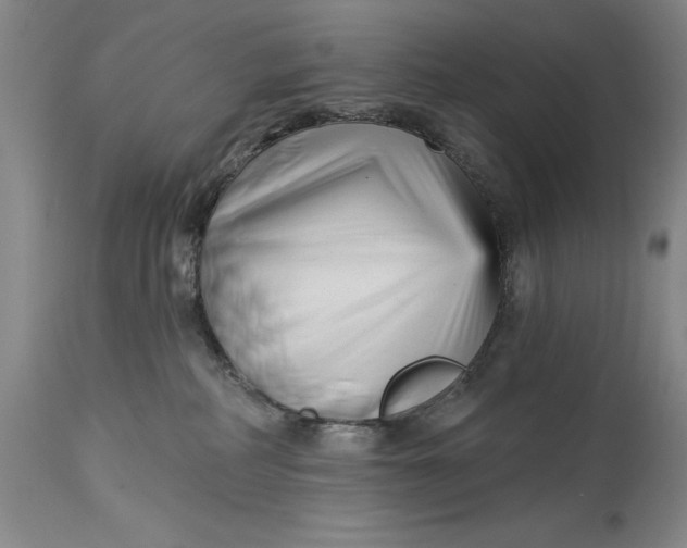 X0000114690234200911121525