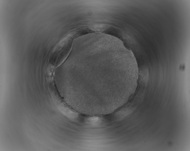 X0000114690237200911121525