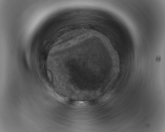 X0000114690239200911121525