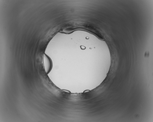 X0000114690240200911121525