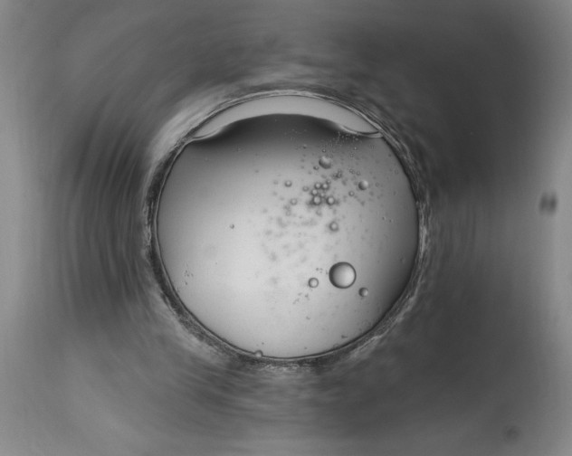 X0000114690245200911121524