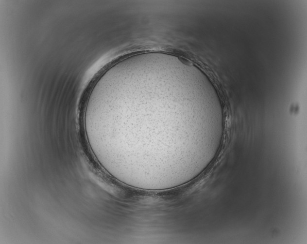 X0000114690246200911121524