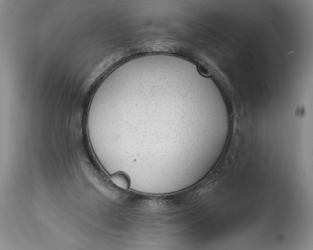 X0000114690250200911121524