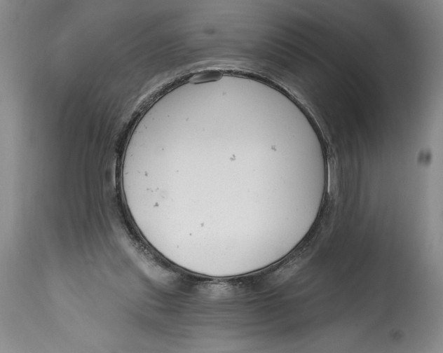 X0000114690253200911121524