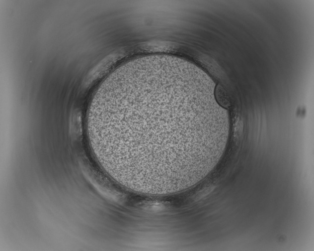 X0000114690254200911121524